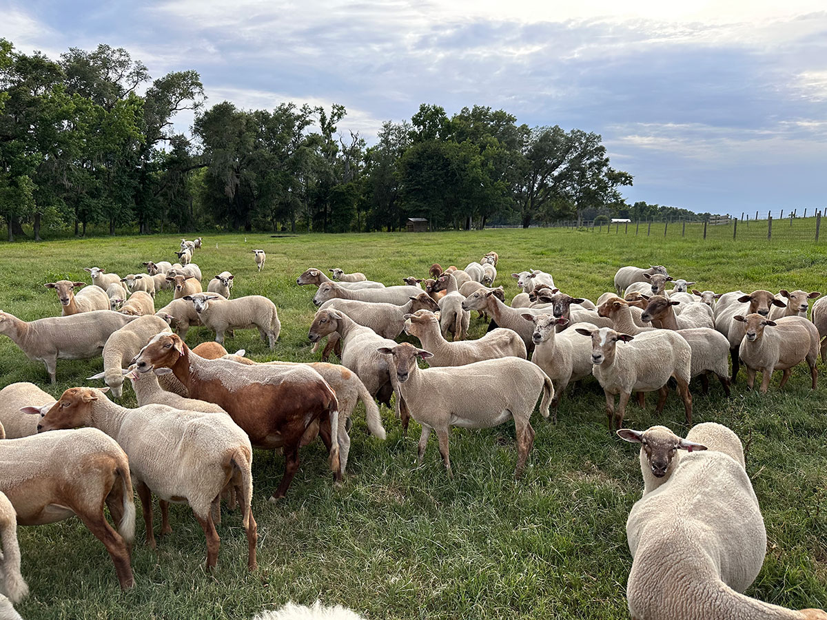 IMG 4941